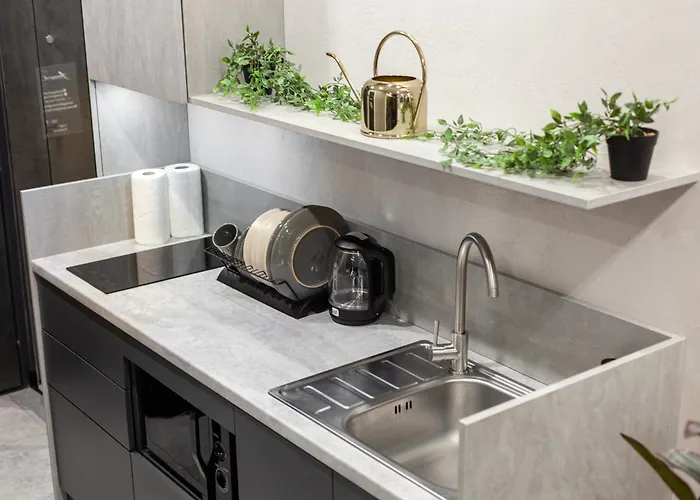 Apartament Near Opera *